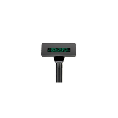 Visor cliente VFD 2X20 168MM USB