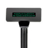 Visor cliente VFD 2X20 168MM USB